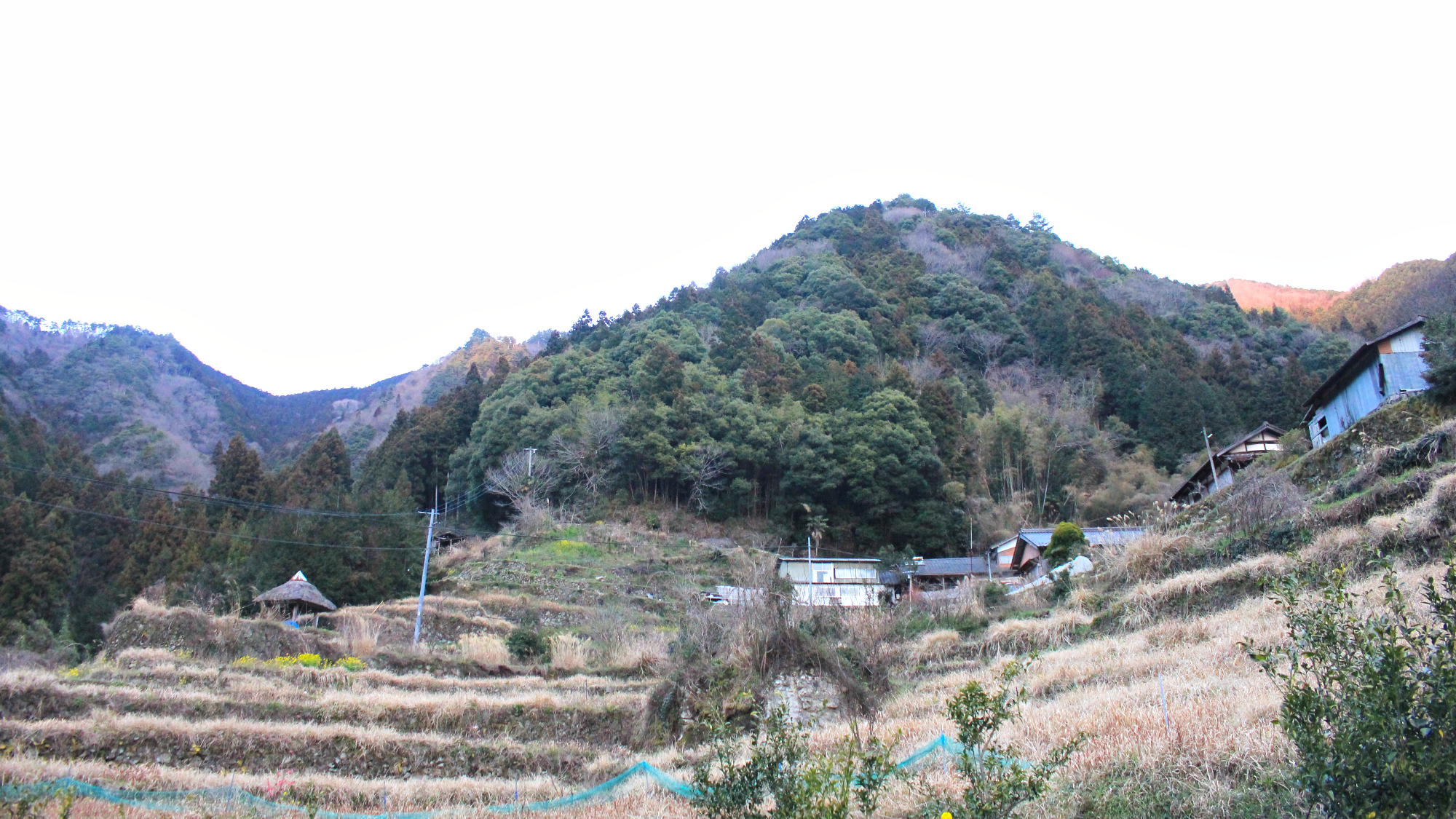 （仮称）西予梼原風力発電事業